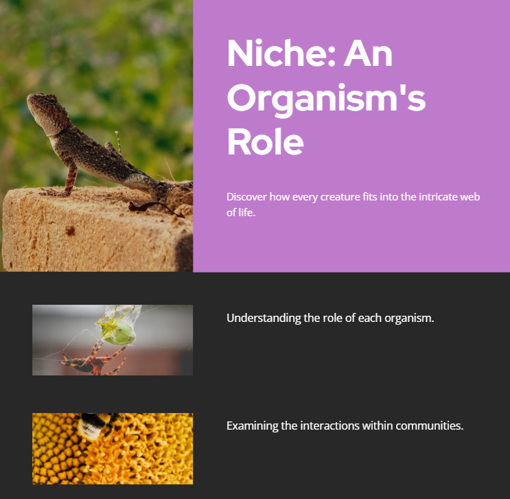 niche biodiversity