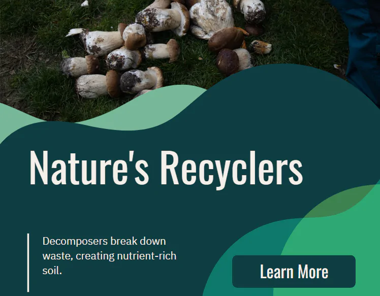 decomposers, ecology mcq, affairsmastery.com
