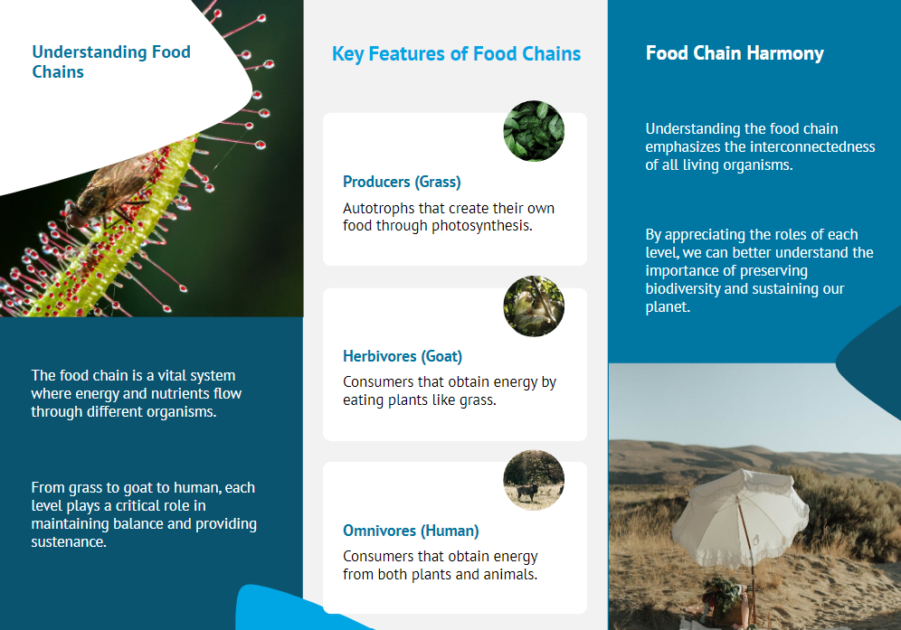 foodchain, affairsmastery.com