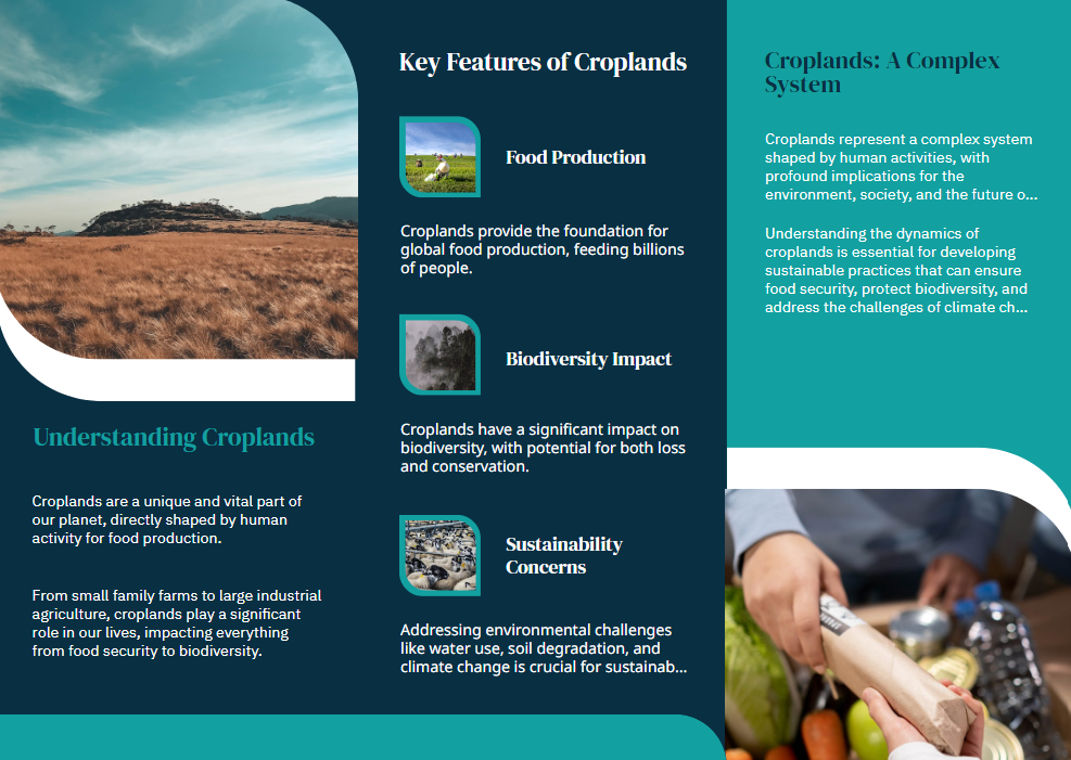 key features of cropland, affairsmastery.com