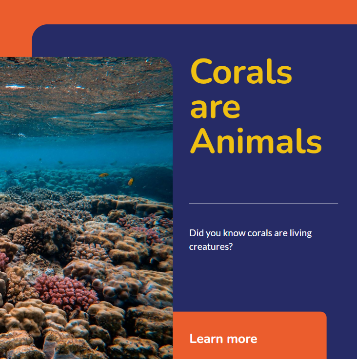 corals are animals, affairsmastery.com