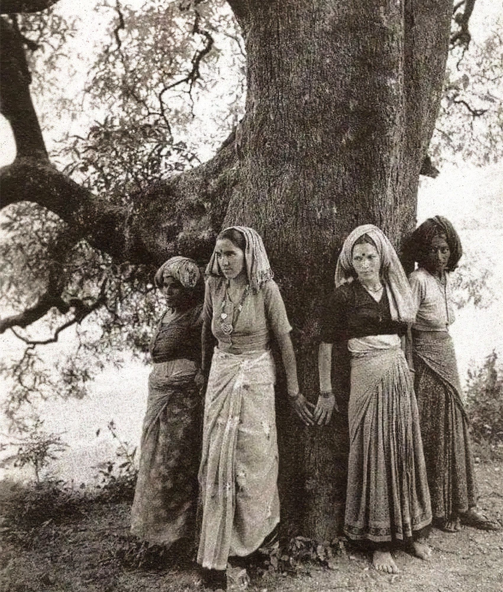 chipko movement, affairsmastery.com