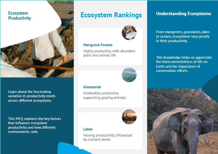 ecosystems in terms of decreasing productivity is: Mangroves, grasslands, lakes, and oceans.