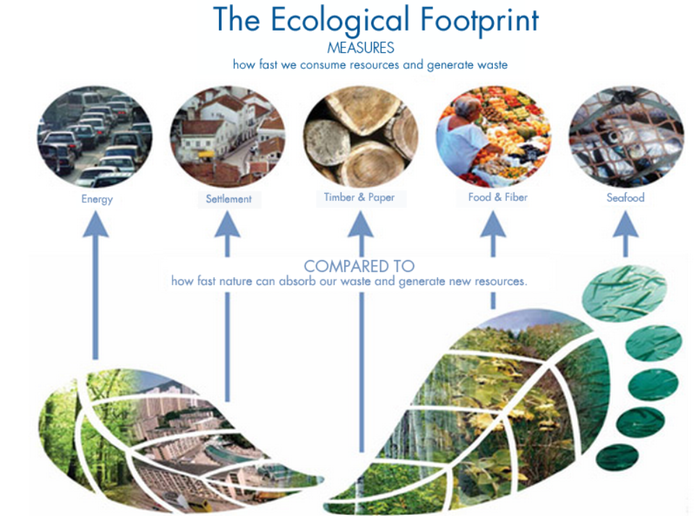 ecological footprint measures the impact of human activity