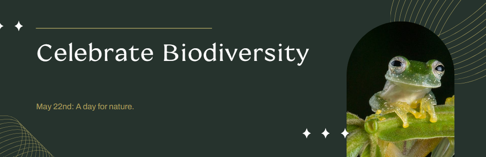 United Nations has designated May 22 as the International Day for Biological Diversity