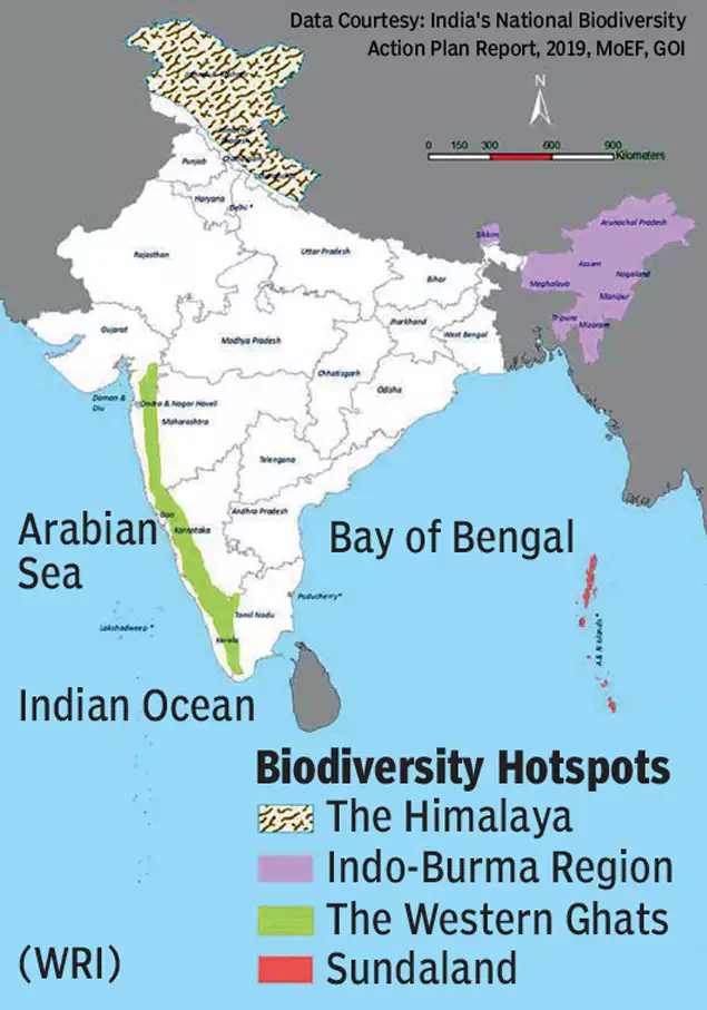 biodiversity hotspot in india, affairsmastery.com