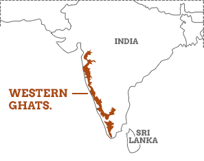 western ghat, affairsmastery.com