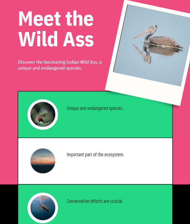 indian wild ass, affairsmastery.com