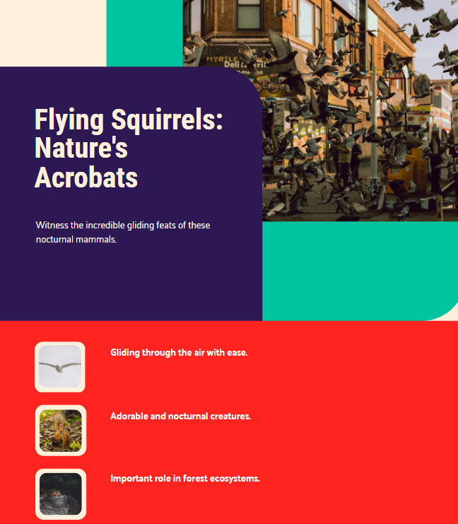 flying squirrel, affairsmastery.com