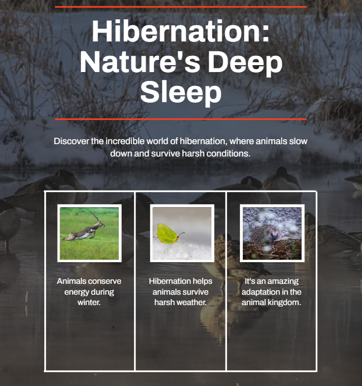 hibernation phenomenon, affairsmastery.com