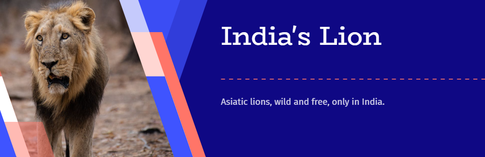 asiatic lion, affairsmastery.com