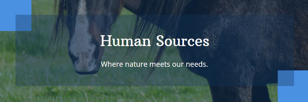 human sources, affairsmastery.com