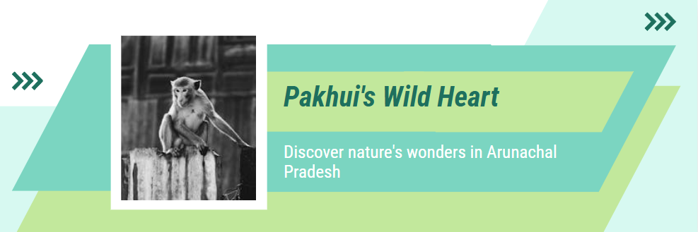 pakhui wildlife sanctuary, affairsmastery.com